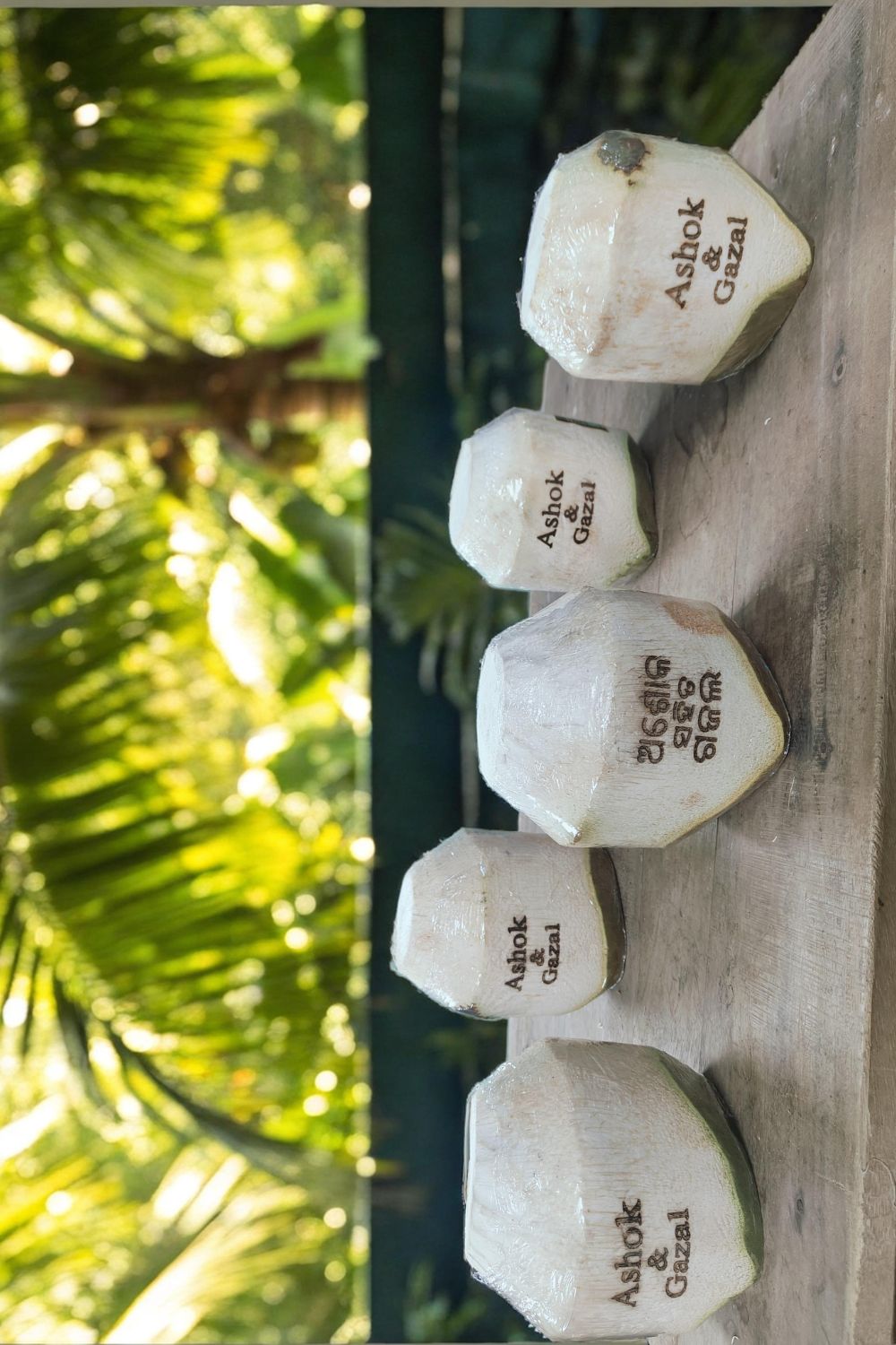 Coconotch Premium Product
