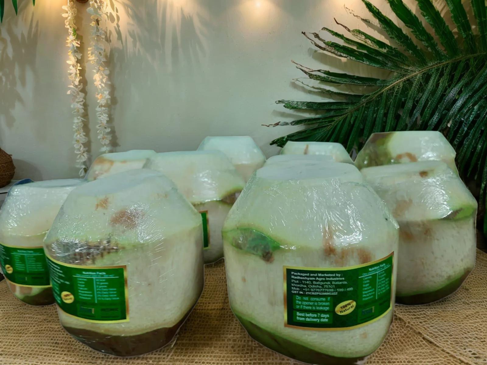 Fresh peeled coconut (100) numbers