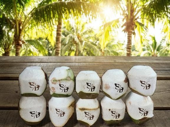 Fresh engrave coconut (100) numbers